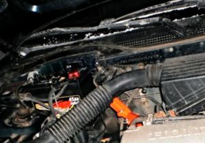 honda civic 1,6 fuel consumption petrol, diesel, gas