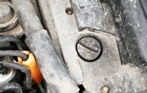 kia carens fuel consumption petrol, diesel, gas